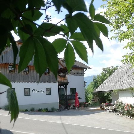 Bed and Breakfast Ortnerhof Ennstal Aigen im Ennstal Exterior foto