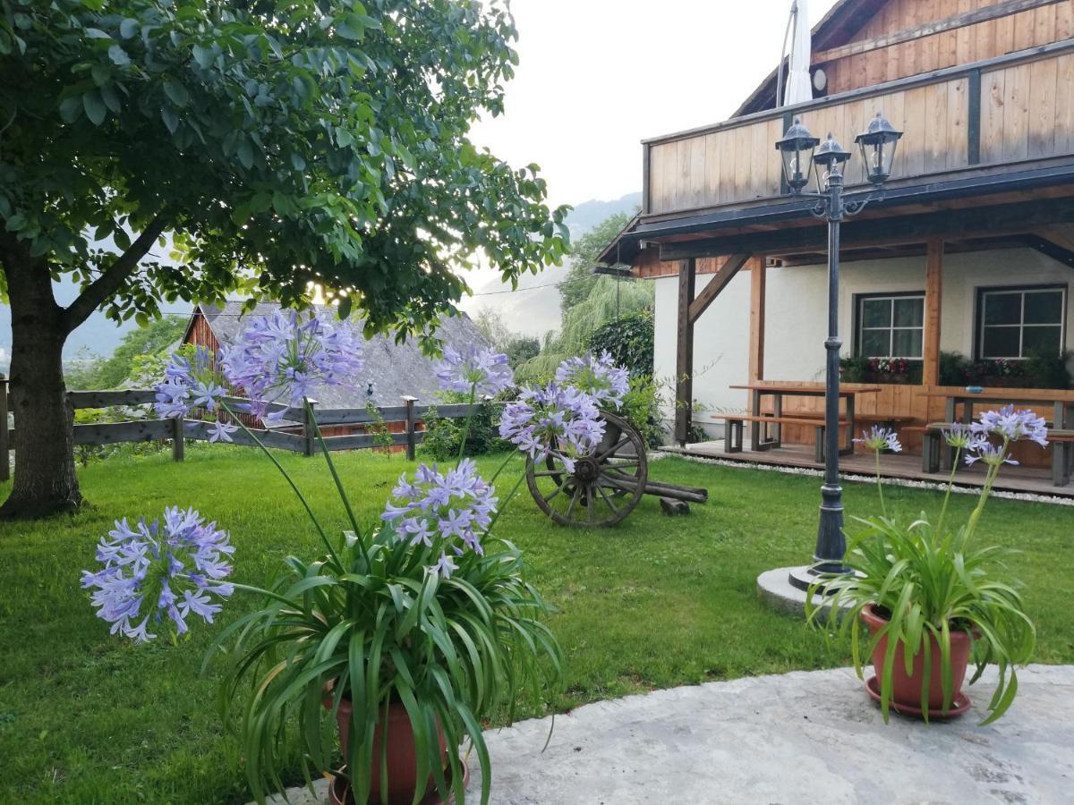 Bed and Breakfast Ortnerhof Ennstal Aigen im Ennstal Exterior foto