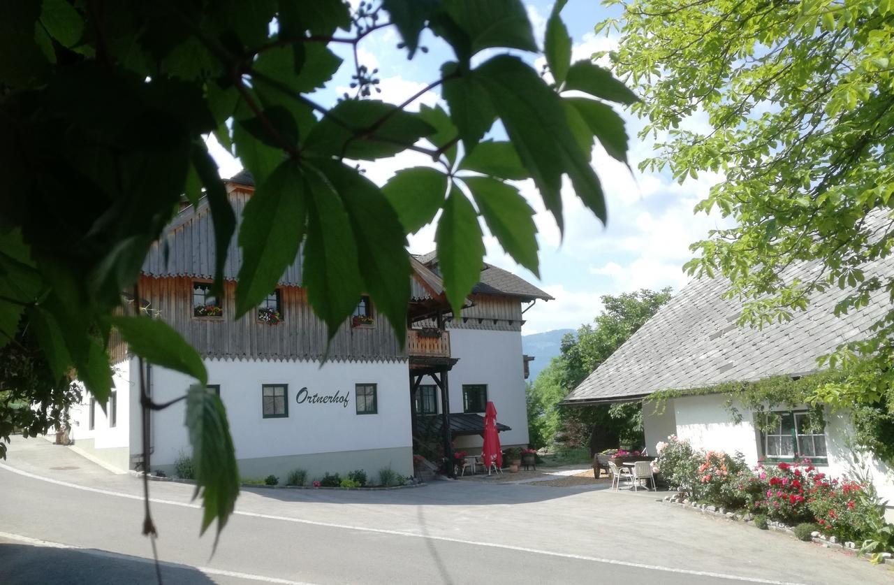 Bed and Breakfast Ortnerhof Ennstal Aigen im Ennstal Exterior foto